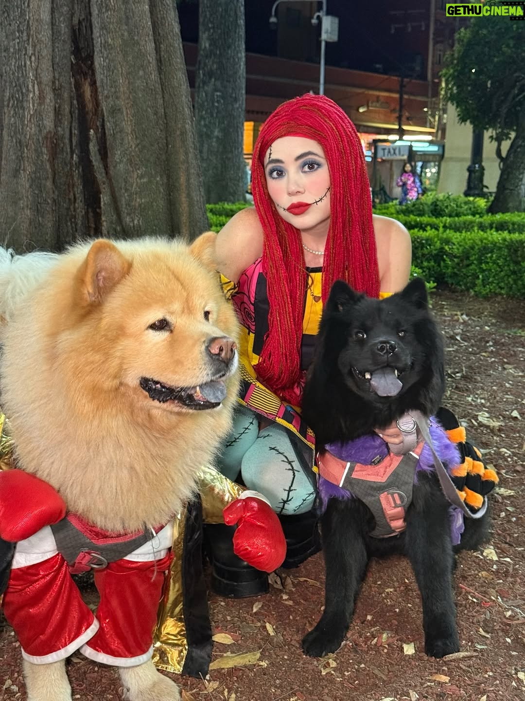 Mariana Botas - 31.8K Likes - 🎃 “Cósete siempre y levántate de nuevo” - Sally 🥀❤️‍🩹🧵🪡
.
.
. 🦮🐕‍🦺 @royalcaninmexico #increibleencadadetalle