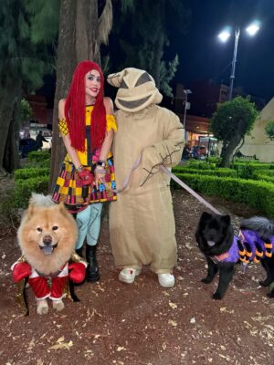 Mariana Botas Instagram - 🎃 “Cósete siempre y levántate de nuevo” - Sally 🥀❤️‍🩹🧵🪡
.
.
. 🦮🐕‍🦺 @royalcaninmexico #increibleencadadetalle