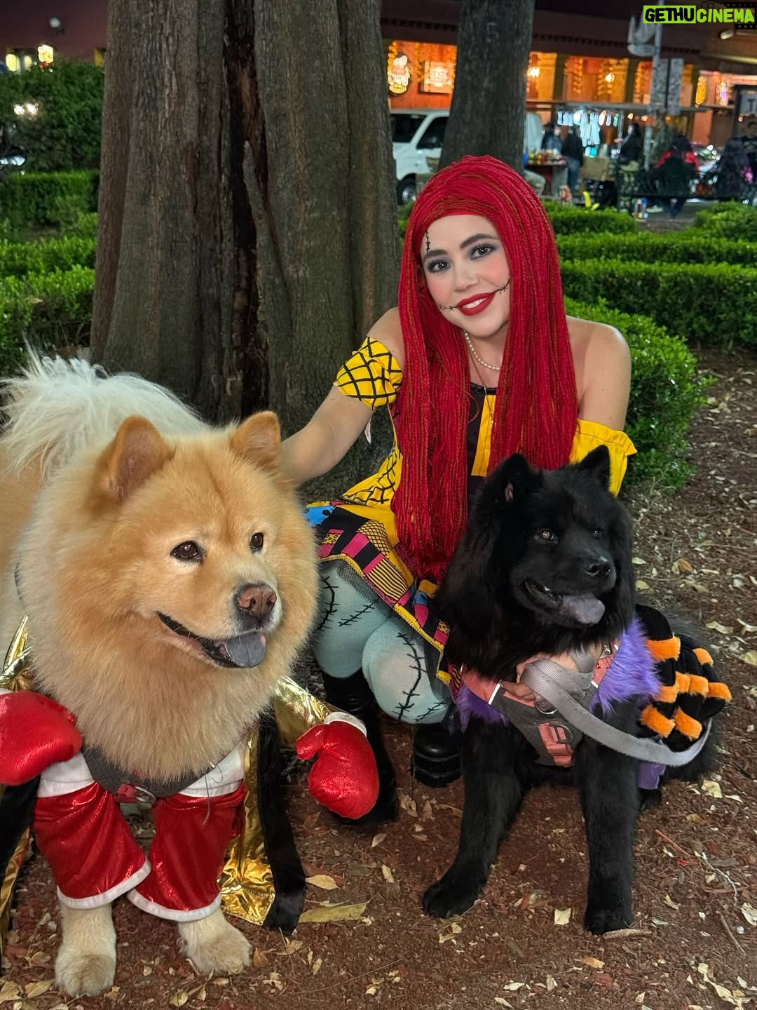 Mariana Botas - 31.8K Likes - 🎃 “Cósete siempre y levántate de nuevo” - Sally 🥀❤️‍🩹🧵🪡
.
.
. 🦮🐕‍🦺 @royalcaninmexico #increibleencadadetalle