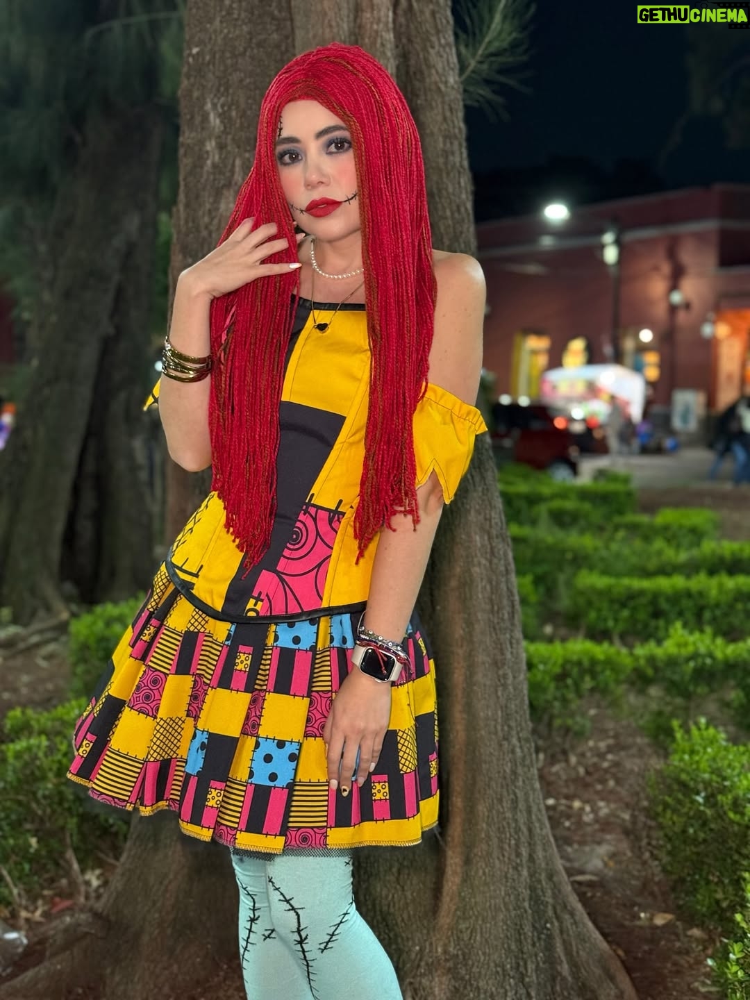 Mariana Botas - 31.8K Likes - 🎃 “Cósete siempre y levántate de nuevo” - Sally 🥀❤️‍🩹🧵🪡
.
.
. 🦮🐕‍🦺 @royalcaninmexico #increibleencadadetalle