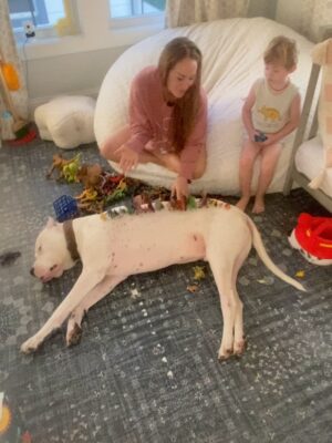 Mina Starsiak-Hawk Instagram - 7 years ago. I haven’t been ready to share, but I know a lot of you watched Frank grow up and have a place in your hearts for him as well. He had cancer and passed a couple weeks ago. He spent his time towards the end lounging at my side while I worked or eating hot dogs at every one of Jacks baseball games and getting all the pets and love. He has been the most amazing companion to Steve and I and the kids. And been there for us to snuggle on during some of the hardest times in our lives the last 8 years. But also been there and been a part of some of the best. 

He’s with his sisters now across the rainbow bridge and no longer is pain. We definitely still are struggling without him and will be for some time. A void is left which makes you ask yourself, why even fall in love with a pup to begin with. But looking at any single picture of him, it’s so worth the love he gave while we had him. 

Love you, Franky. 🐾