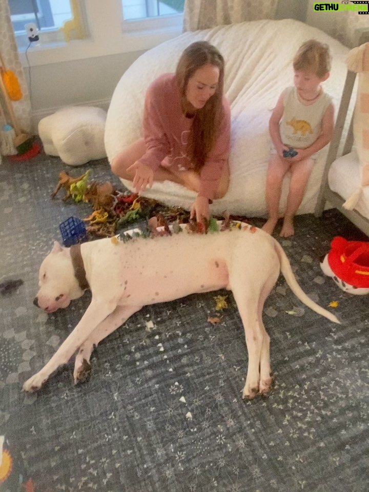 Mina Starsiak-Hawk - 25.2K Likes - 7 years ago. I haven’t been ready to share, but I know a lot of you watched Frank grow up and have a place in your hearts for him as well. He had cancer and passed a couple weeks ago. He spent his time towards the end lounging at my side while I worked or eating hot dogs at every one of Jacks baseball games and getting all the pets and love. He has been the most amazing companion to Steve and I and the kids. And been there for us to snuggle on during some of the hardest times in our lives the last 8 years. But also been there and been a part of some of the best. 

He’s with his sisters now across the rainbow bridge and no longer is pain. We definitely still are struggling without him and will be for some time. A void is left which makes you ask yourself, why even fall in love with a pup to begin with. But looking at any single picture of him, it’s so worth the love he gave while we had him. 

Love you, Franky. 🐾