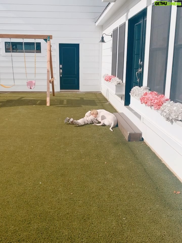 Mina Starsiak-Hawk - 25.2K Likes - 7 years ago. I haven’t been ready to share, but I know a lot of you watched Frank grow up and have a place in your hearts for him as well. He had cancer and passed a couple weeks ago. He spent his time towards the end lounging at my side while I worked or eating hot dogs at every one of Jacks baseball games and getting all the pets and love. He has been the most amazing companion to Steve and I and the kids. And been there for us to snuggle on during some of the hardest times in our lives the last 8 years. But also been there and been a part of some of the best. 

He’s with his sisters now across the rainbow bridge and no longer is pain. We definitely still are struggling without him and will be for some time. A void is left which makes you ask yourself, why even fall in love with a pup to begin with. But looking at any single picture of him, it’s so worth the love he gave while we had him. 

Love you, Franky. 🐾