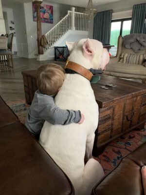 Mina Starsiak-Hawk Instagram - 7 years ago. I haven’t been ready to share, but I know a lot of you watched Frank grow up and have a place in your hearts for him as well. He had cancer and passed a couple weeks ago. He spent his time towards the end lounging at my side while I worked or eating hot dogs at every one of Jacks baseball games and getting all the pets and love. He has been the most amazing companion to Steve and I and the kids. And been there for us to snuggle on during some of the hardest times in our lives the last 8 years. But also been there and been a part of some of the best. 

He’s with his sisters now across the rainbow bridge and no longer is pain. We definitely still are struggling without him and will be for some time. A void is left which makes you ask yourself, why even fall in love with a pup to begin with. But looking at any single picture of him, it’s so worth the love he gave while we had him. 

Love you, Franky. 🐾