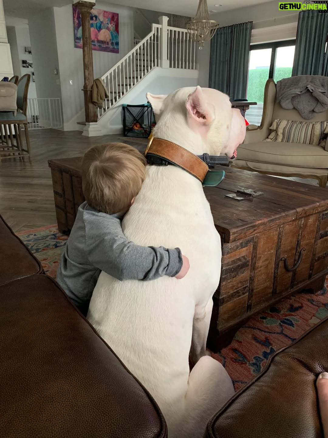 Mina Starsiak-Hawk - 25.2K Likes - 7 years ago. I haven’t been ready to share, but I know a lot of you watched Frank grow up and have a place in your hearts for him as well. He had cancer and passed a couple weeks ago. He spent his time towards the end lounging at my side while I worked or eating hot dogs at every one of Jacks baseball games and getting all the pets and love. He has been the most amazing companion to Steve and I and the kids. And been there for us to snuggle on during some of the hardest times in our lives the last 8 years. But also been there and been a part of some of the best. 

He’s with his sisters now across the rainbow bridge and no longer is pain. We definitely still are struggling without him and will be for some time. A void is left which makes you ask yourself, why even fall in love with a pup to begin with. But looking at any single picture of him, it’s so worth the love he gave while we had him. 

Love you, Franky. 🐾