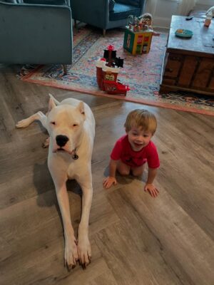 Mina Starsiak-Hawk Instagram - 7 years ago. I haven’t been ready to share, but I know a lot of you watched Frank grow up and have a place in your hearts for him as well. He had cancer and passed a couple weeks ago. He spent his time towards the end lounging at my side while I worked or eating hot dogs at every one of Jacks baseball games and getting all the pets and love. He has been the most amazing companion to Steve and I and the kids. And been there for us to snuggle on during some of the hardest times in our lives the last 8 years. But also been there and been a part of some of the best. 

He’s with his sisters now across the rainbow bridge and no longer is pain. We definitely still are struggling without him and will be for some time. A void is left which makes you ask yourself, why even fall in love with a pup to begin with. But looking at any single picture of him, it’s so worth the love he gave while we had him. 

Love you, Franky. 🐾