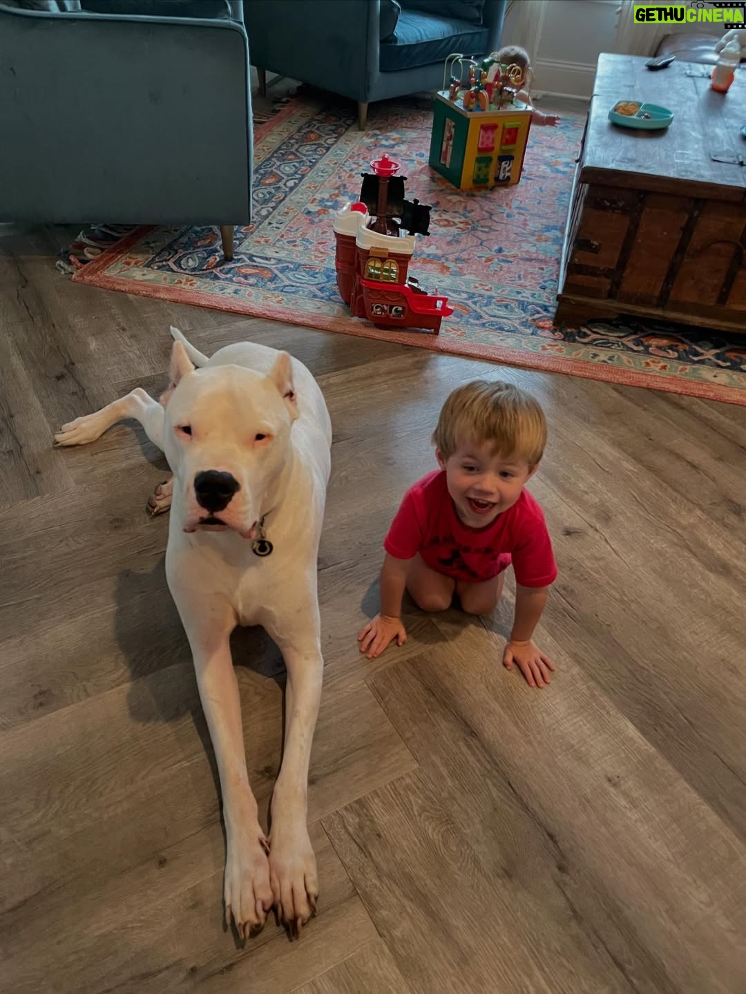 Mina Starsiak-Hawk - 25.2K Likes - 7 years ago. I haven’t been ready to share, but I know a lot of you watched Frank grow up and have a place in your hearts for him as well. He had cancer and passed a couple weeks ago. He spent his time towards the end lounging at my side while I worked or eating hot dogs at every one of Jacks baseball games and getting all the pets and love. He has been the most amazing companion to Steve and I and the kids. And been there for us to snuggle on during some of the hardest times in our lives the last 8 years. But also been there and been a part of some of the best. 

He’s with his sisters now across the rainbow bridge and no longer is pain. We definitely still are struggling without him and will be for some time. A void is left which makes you ask yourself, why even fall in love with a pup to begin with. But looking at any single picture of him, it’s so worth the love he gave while we had him. 

Love you, Franky. 🐾