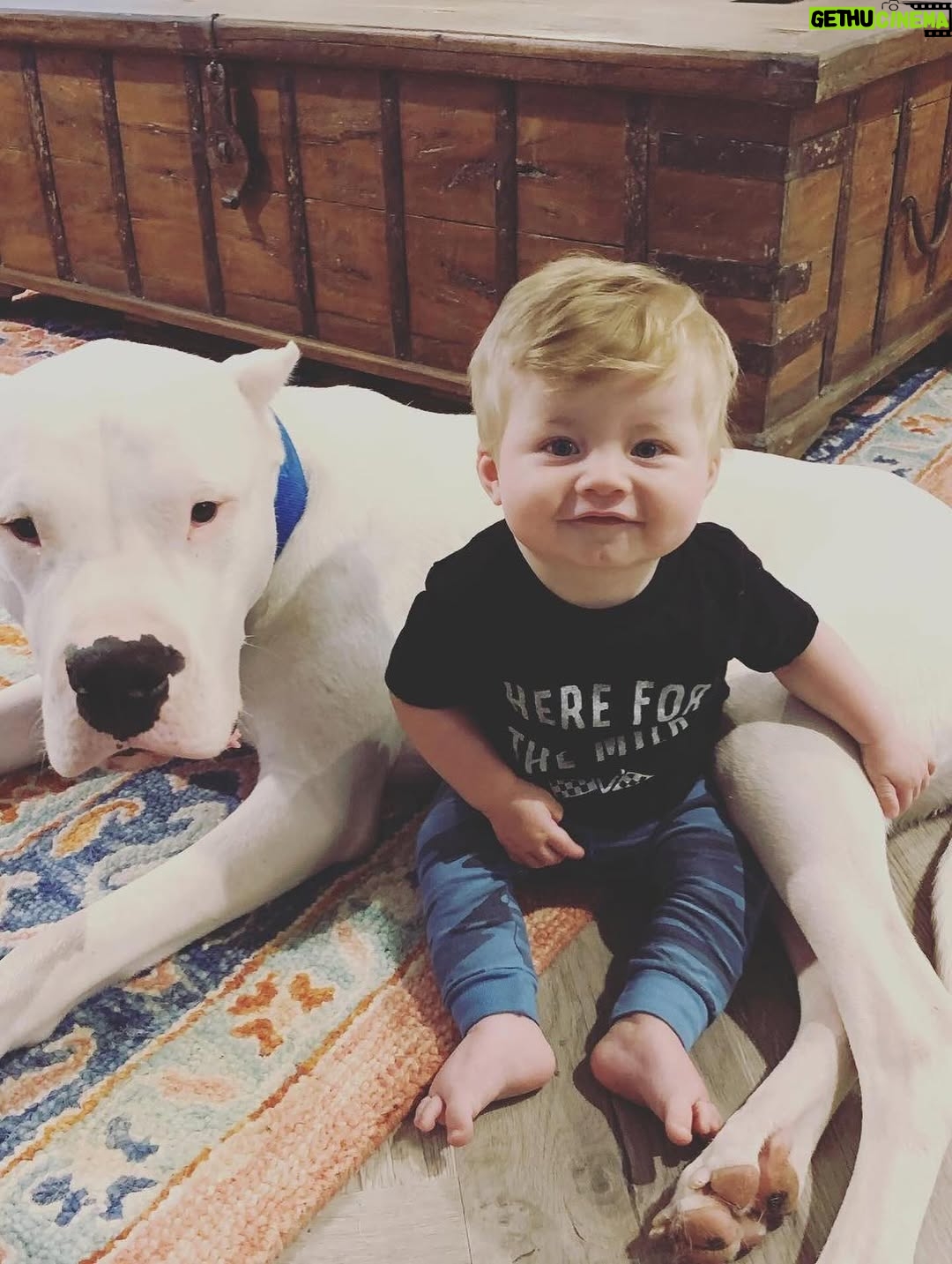 Mina Starsiak-Hawk - 25.2K Likes - 7 years ago. I haven’t been ready to share, but I know a lot of you watched Frank grow up and have a place in your hearts for him as well. He had cancer and passed a couple weeks ago. He spent his time towards the end lounging at my side while I worked or eating hot dogs at every one of Jacks baseball games and getting all the pets and love. He has been the most amazing companion to Steve and I and the kids. And been there for us to snuggle on during some of the hardest times in our lives the last 8 years. But also been there and been a part of some of the best. 

He’s with his sisters now across the rainbow bridge and no longer is pain. We definitely still are struggling without him and will be for some time. A void is left which makes you ask yourself, why even fall in love with a pup to begin with. But looking at any single picture of him, it’s so worth the love he gave while we had him. 

Love you, Franky. 🐾