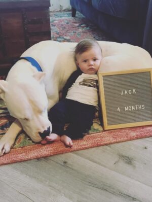 Mina Starsiak-Hawk Instagram - 7 years ago. I haven’t been ready to share, but I know a lot of you watched Frank grow up and have a place in your hearts for him as well. He had cancer and passed a couple weeks ago. He spent his time towards the end lounging at my side while I worked or eating hot dogs at every one of Jacks baseball games and getting all the pets and love. He has been the most amazing companion to Steve and I and the kids. And been there for us to snuggle on during some of the hardest times in our lives the last 8 years. But also been there and been a part of some of the best. 

He’s with his sisters now across the rainbow bridge and no longer is pain. We definitely still are struggling without him and will be for some time. A void is left which makes you ask yourself, why even fall in love with a pup to begin with. But looking at any single picture of him, it’s so worth the love he gave while we had him. 

Love you, Franky. 🐾