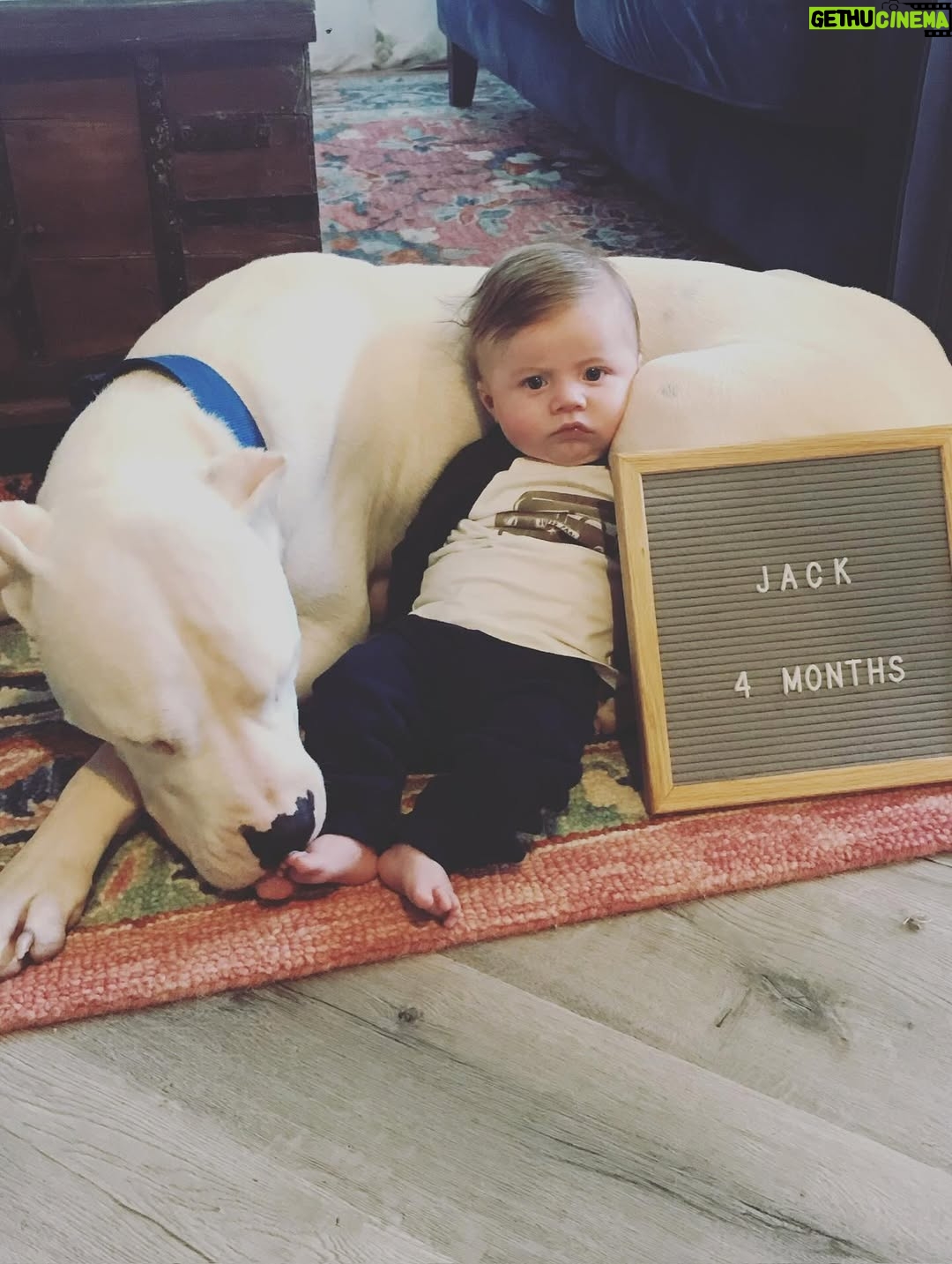 Mina Starsiak-Hawk - 25.2K Likes - 7 years ago. I haven’t been ready to share, but I know a lot of you watched Frank grow up and have a place in your hearts for him as well. He had cancer and passed a couple weeks ago. He spent his time towards the end lounging at my side while I worked or eating hot dogs at every one of Jacks baseball games and getting all the pets and love. He has been the most amazing companion to Steve and I and the kids. And been there for us to snuggle on during some of the hardest times in our lives the last 8 years. But also been there and been a part of some of the best. 

He’s with his sisters now across the rainbow bridge and no longer is pain. We definitely still are struggling without him and will be for some time. A void is left which makes you ask yourself, why even fall in love with a pup to begin with. But looking at any single picture of him, it’s so worth the love he gave while we had him. 

Love you, Franky. 🐾