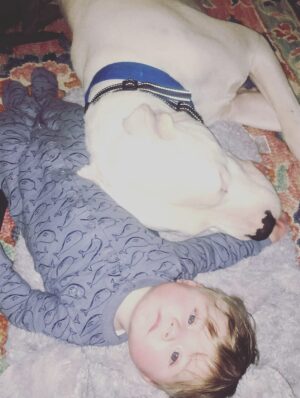 Mina Starsiak-Hawk Instagram - 7 years ago. I haven’t been ready to share, but I know a lot of you watched Frank grow up and have a place in your hearts for him as well. He had cancer and passed a couple weeks ago. He spent his time towards the end lounging at my side while I worked or eating hot dogs at every one of Jacks baseball games and getting all the pets and love. He has been the most amazing companion to Steve and I and the kids. And been there for us to snuggle on during some of the hardest times in our lives the last 8 years. But also been there and been a part of some of the best. 

He’s with his sisters now across the rainbow bridge and no longer is pain. We definitely still are struggling without him and will be for some time. A void is left which makes you ask yourself, why even fall in love with a pup to begin with. But looking at any single picture of him, it’s so worth the love he gave while we had him. 

Love you, Franky. 🐾