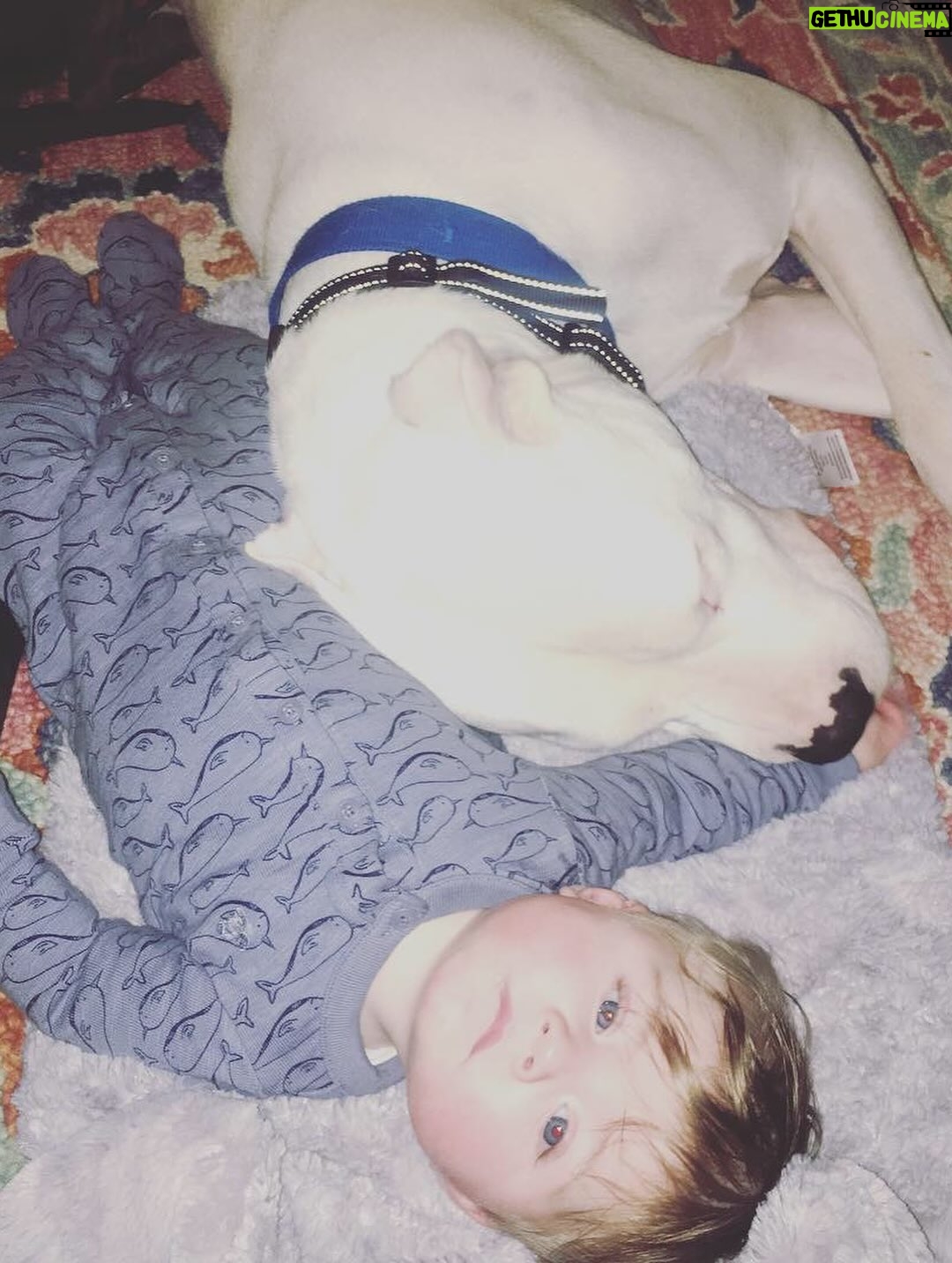 Mina Starsiak-Hawk - 25.2K Likes - 7 years ago. I haven’t been ready to share, but I know a lot of you watched Frank grow up and have a place in your hearts for him as well. He had cancer and passed a couple weeks ago. He spent his time towards the end lounging at my side while I worked or eating hot dogs at every one of Jacks baseball games and getting all the pets and love. He has been the most amazing companion to Steve and I and the kids. And been there for us to snuggle on during some of the hardest times in our lives the last 8 years. But also been there and been a part of some of the best. 

He’s with his sisters now across the rainbow bridge and no longer is pain. We definitely still are struggling without him and will be for some time. A void is left which makes you ask yourself, why even fall in love with a pup to begin with. But looking at any single picture of him, it’s so worth the love he gave while we had him. 

Love you, Franky. 🐾