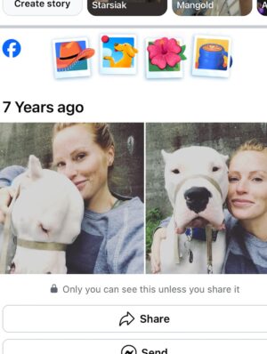 Mina Starsiak-Hawk Instagram - 7 years ago. I haven’t been ready to share, but I know a lot of you watched Frank grow up and have a place in your hearts for him as well. He had cancer and passed a couple weeks ago. He spent his time towards the end lounging at my side while I worked or eating hot dogs at every one of Jacks baseball games and getting all the pets and love. He has been the most amazing companion to Steve and I and the kids. And been there for us to snuggle on during some of the hardest times in our lives the last 8 years. But also been there and been a part of some of the best. 

He’s with his sisters now across the rainbow bridge and no longer is pain. We definitely still are struggling without him and will be for some time. A void is left which makes you ask yourself, why even fall in love with a pup to begin with. But looking at any single picture of him, it’s so worth the love he gave while we had him. 

Love you, Franky. 🐾
