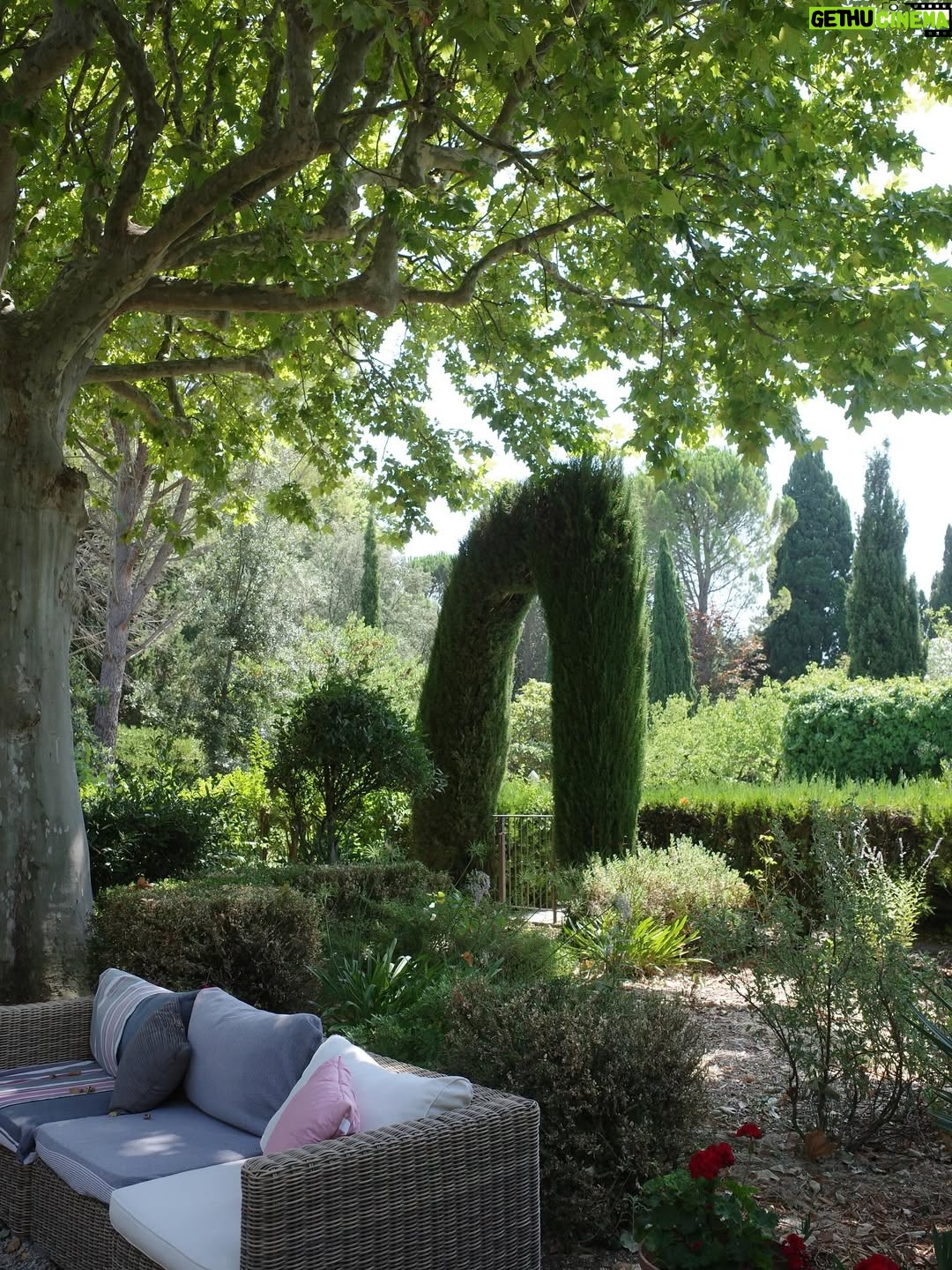 Miwako Kakei - 21.1K Likes - 初めて訪れたサンレミと、以前一度訪れて大好きになったアルル🇫🇷🌳✨☺️
どちらもいいところだった〜。ゆったりのんびりしてて〜。

#france #saintremydeprovence #arles