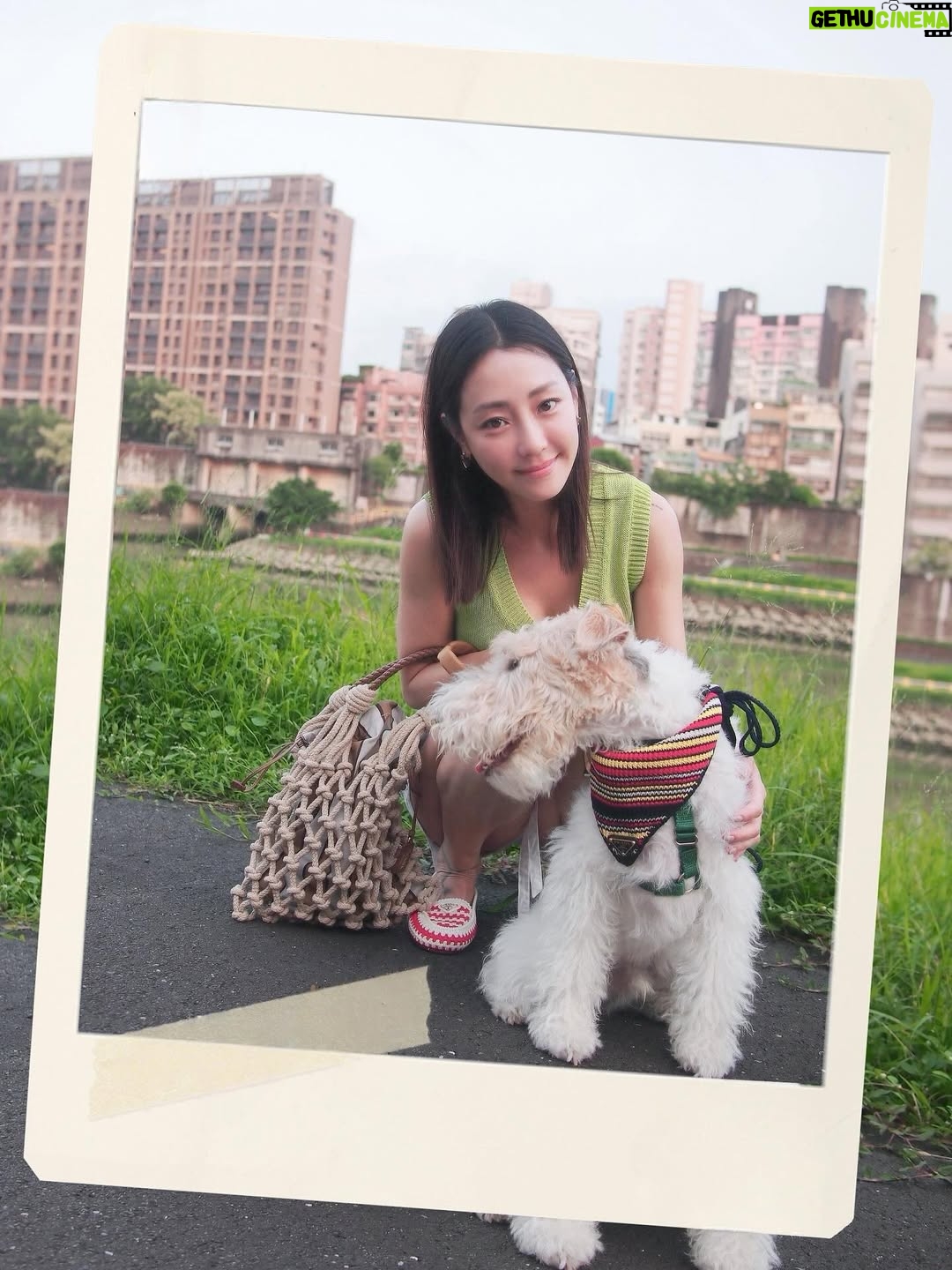 Nikki Hsieh - 23.5K Likes - ☀️🪁🐾

@prada #Prada #pradasummerkit