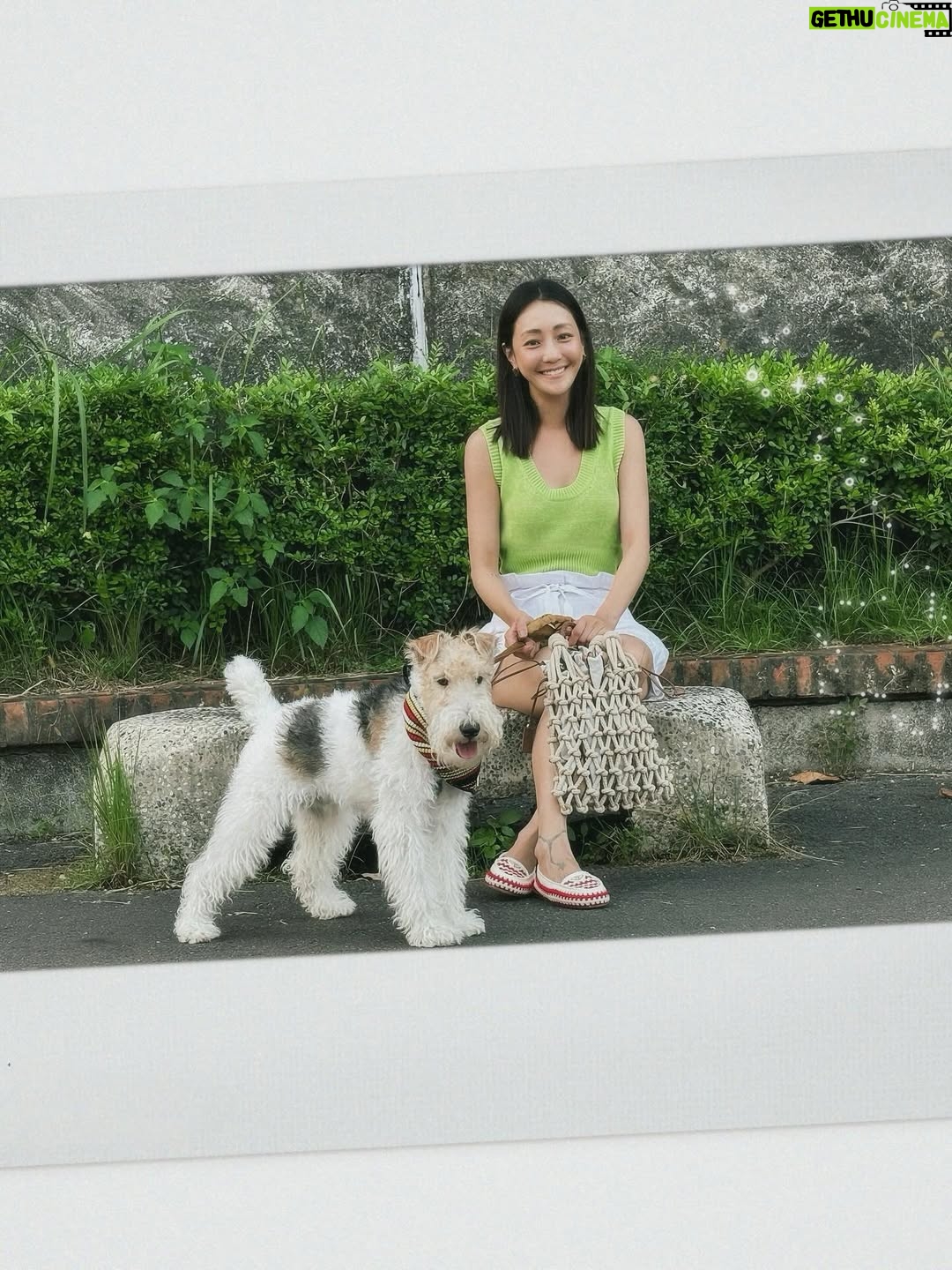 Nikki Hsieh - 23.5K Likes - ☀️🪁🐾

@prada #Prada #pradasummerkit