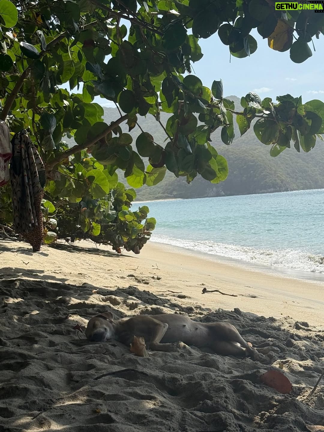 Niña Pastori - 19.6K Likes - Un viaje precioso… ole las arepas de huevo! @carlosvives 🥰🍀💜

#SantaMarta500Años
