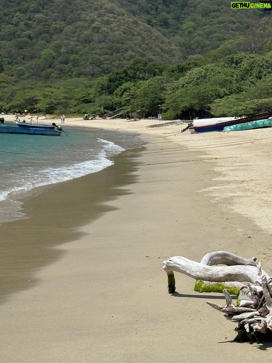 Niña Pastori - 19.6K Likes - Un viaje precioso… ole las arepas de huevo! @carlosvives 🥰🍀💜

#SantaMarta500Años