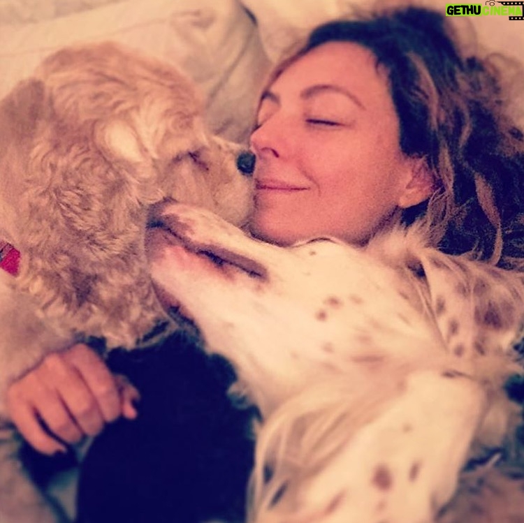 Özge Özder - 66.3K Likes - Bildiğim uzun cümlelerin hiç birine sığdıramam seni..Acın sanki içimden hiç çıkmayacak bir cam kırığı gibi, ve sonsuzlukta sallanan bir sarkaç gibi kalbimden mideme, midemden kalbime savrulup duruyor.Aklım ikna olmuyor  yokluğuna..Dile kolay 16 sene…
Gidişinle benliğimde bir çağ kapandı benim için. Oysa daha dün gibi koynumda eve gelişin.
Sen benim para vererek aldığım tek köpektin.. Seni bir vitrinde hasta halinle sergiliyorlardı umarsızca,satabilmek için. Tedavi ettirmeye yanaşmayıp bana da izin vermeyen o satıcının elinden biri satın alıp kurtarır mı seni diye her gün kontrol ettim seni ben. Sen benim hayatımda gördüğüm en güzel bebek köpektin..Seni alamazdım çünkü o zamanlar sokaktan bana gelen Dori vardı baktığım ve kanser hastası haliyle 9 yavru hediye etmişti bize. Bir de goldenımız Barok derken 11 köpekle mümkünsüzdü benim olman. Ama görüyordum her gün daha da kötüye gidiyordun o vitrinde göz göre göre.. Bana “biz tedavi ettirmiyoruz aldığımız üreticiye geri veriyoruz, onlar tedavi edip belki damızlık olarak kullanırlar ama bunun çilleri var, secereli ırk üretemezler bundan, çünkü lekesiz olması lazım, yani bu çilleri defo gibi düşün abla, muhtemelen üretim fazlası olur bu!” dedikleri gün karar verdim seni alıp o kusur saydıkları çilleri her Allah’ın günü öpmeye..Ve bu sisteme elimden geldiğince dur demeye..Dolar üzerinden sattılar seni bana, o kafesten çıkıp mutluluktan deli olduğun anı ömrüm oldukça hatırlayacağım. 11 köpeğe ek olarak o soğukta koynumda satın aldığım bir yavruyla eve dönüşümü de! Veterinere koştum hemen, bana “ hep hasta köpeklere baktın ama artık senin de bir yüzün gülsün, sağlıklı bir bebek bul kendine ne olur, yaşamaz bu çocuk“ dedi veteriner. Evimizde kansere yenilmek üzere ve yeni anne bir köpek vardı. Sen de hastaydın ve ben her gün morale ihtiyacım olduğundan Beatles plakları dinliyordum durmaksızın. Bir süre öleceğinden korkup isim bile koyamadım ben sana, oysa kısa zamanda aynı şarkılarda benimle hoplar zıplar oldun ve ben adını tam da bu yüzden Beatles koydum. Kolumda dövme olarak taşıdığım “All you need is love” cümlesinin karşılığısın benim için. Kurduğum dernekte, hayvanlarla ilgili yaptığım her işte ilham kaynağımdın. ⬇️