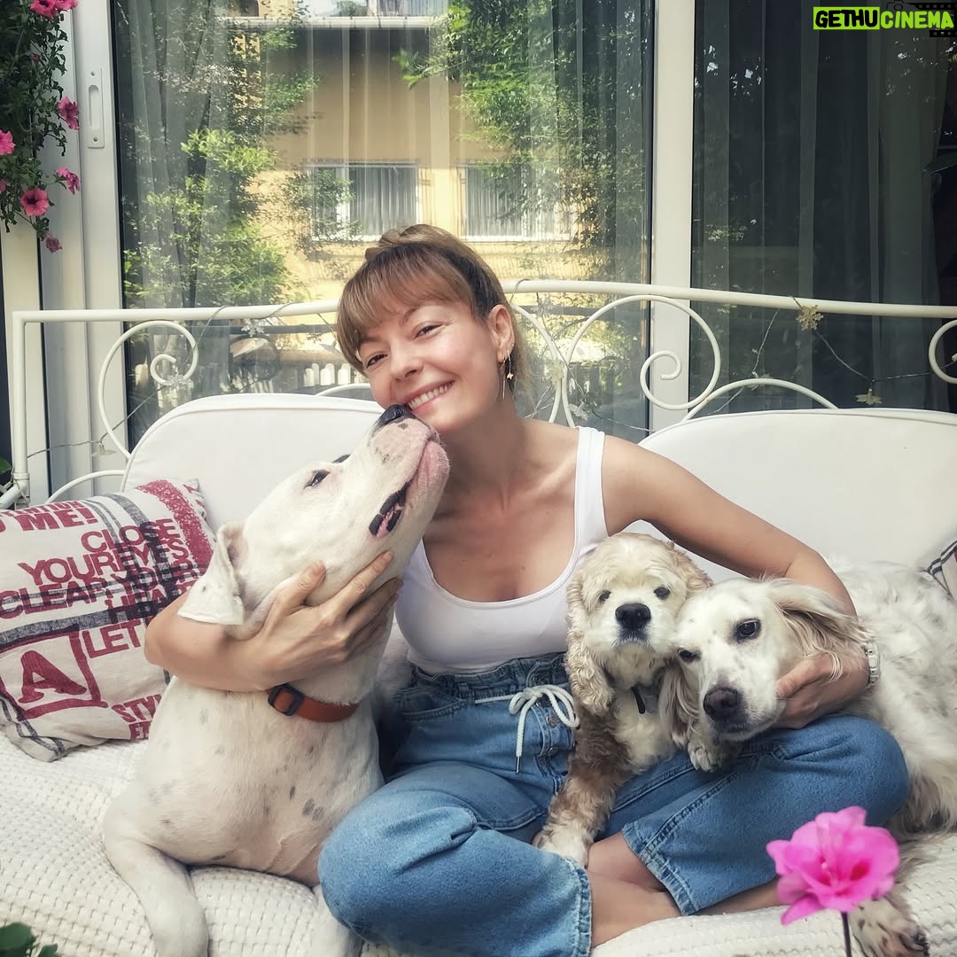 Özge Özder - 66.3K Likes - Bildiğim uzun cümlelerin hiç birine sığdıramam seni..Acın sanki içimden hiç çıkmayacak bir cam kırığı gibi, ve sonsuzlukta sallanan bir sarkaç gibi kalbimden mideme, midemden kalbime savrulup duruyor.Aklım ikna olmuyor  yokluğuna..Dile kolay 16 sene…
Gidişinle benliğimde bir çağ kapandı benim için. Oysa daha dün gibi koynumda eve gelişin.
Sen benim para vererek aldığım tek köpektin.. Seni bir vitrinde hasta halinle sergiliyorlardı umarsızca,satabilmek için. Tedavi ettirmeye yanaşmayıp bana da izin vermeyen o satıcının elinden biri satın alıp kurtarır mı seni diye her gün kontrol ettim seni ben. Sen benim hayatımda gördüğüm en güzel bebek köpektin..Seni alamazdım çünkü o zamanlar sokaktan bana gelen Dori vardı baktığım ve kanser hastası haliyle 9 yavru hediye etmişti bize. Bir de goldenımız Barok derken 11 köpekle mümkünsüzdü benim olman. Ama görüyordum her gün daha da kötüye gidiyordun o vitrinde göz göre göre.. Bana “biz tedavi ettirmiyoruz aldığımız üreticiye geri veriyoruz, onlar tedavi edip belki damızlık olarak kullanırlar ama bunun çilleri var, secereli ırk üretemezler bundan, çünkü lekesiz olması lazım, yani bu çilleri defo gibi düşün abla, muhtemelen üretim fazlası olur bu!” dedikleri gün karar verdim seni alıp o kusur saydıkları çilleri her Allah’ın günü öpmeye..Ve bu sisteme elimden geldiğince dur demeye..Dolar üzerinden sattılar seni bana, o kafesten çıkıp mutluluktan deli olduğun anı ömrüm oldukça hatırlayacağım. 11 köpeğe ek olarak o soğukta koynumda satın aldığım bir yavruyla eve dönüşümü de! Veterinere koştum hemen, bana “ hep hasta köpeklere baktın ama artık senin de bir yüzün gülsün, sağlıklı bir bebek bul kendine ne olur, yaşamaz bu çocuk“ dedi veteriner. Evimizde kansere yenilmek üzere ve yeni anne bir köpek vardı. Sen de hastaydın ve ben her gün morale ihtiyacım olduğundan Beatles plakları dinliyordum durmaksızın. Bir süre öleceğinden korkup isim bile koyamadım ben sana, oysa kısa zamanda aynı şarkılarda benimle hoplar zıplar oldun ve ben adını tam da bu yüzden Beatles koydum. Kolumda dövme olarak taşıdığım “All you need is love” cümlesinin karşılığısın benim için. Kurduğum dernekte, hayvanlarla ilgili yaptığım her işte ilham kaynağımdın. ⬇️