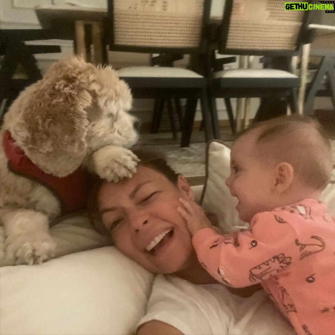 Özge Özder - 66.3K Likes - Bildiğim uzun cümlelerin hiç birine sığdıramam seni..Acın sanki içimden hiç çıkmayacak bir cam kırığı gibi, ve sonsuzlukta sallanan bir sarkaç gibi kalbimden mideme, midemden kalbime savrulup duruyor.Aklım ikna olmuyor  yokluğuna..Dile kolay 16 sene…
Gidişinle benliğimde bir çağ kapandı benim için. Oysa daha dün gibi koynumda eve gelişin.
Sen benim para vererek aldığım tek köpektin.. Seni bir vitrinde hasta halinle sergiliyorlardı umarsızca,satabilmek için. Tedavi ettirmeye yanaşmayıp bana da izin vermeyen o satıcının elinden biri satın alıp kurtarır mı seni diye her gün kontrol ettim seni ben. Sen benim hayatımda gördüğüm en güzel bebek köpektin..Seni alamazdım çünkü o zamanlar sokaktan bana gelen Dori vardı baktığım ve kanser hastası haliyle 9 yavru hediye etmişti bize. Bir de goldenımız Barok derken 11 köpekle mümkünsüzdü benim olman. Ama görüyordum her gün daha da kötüye gidiyordun o vitrinde göz göre göre.. Bana “biz tedavi ettirmiyoruz aldığımız üreticiye geri veriyoruz, onlar tedavi edip belki damızlık olarak kullanırlar ama bunun çilleri var, secereli ırk üretemezler bundan, çünkü lekesiz olması lazım, yani bu çilleri defo gibi düşün abla, muhtemelen üretim fazlası olur bu!” dedikleri gün karar verdim seni alıp o kusur saydıkları çilleri her Allah’ın günü öpmeye..Ve bu sisteme elimden geldiğince dur demeye..Dolar üzerinden sattılar seni bana, o kafesten çıkıp mutluluktan deli olduğun anı ömrüm oldukça hatırlayacağım. 11 köpeğe ek olarak o soğukta koynumda satın aldığım bir yavruyla eve dönüşümü de! Veterinere koştum hemen, bana “ hep hasta köpeklere baktın ama artık senin de bir yüzün gülsün, sağlıklı bir bebek bul kendine ne olur, yaşamaz bu çocuk“ dedi veteriner. Evimizde kansere yenilmek üzere ve yeni anne bir köpek vardı. Sen de hastaydın ve ben her gün morale ihtiyacım olduğundan Beatles plakları dinliyordum durmaksızın. Bir süre öleceğinden korkup isim bile koyamadım ben sana, oysa kısa zamanda aynı şarkılarda benimle hoplar zıplar oldun ve ben adını tam da bu yüzden Beatles koydum. Kolumda dövme olarak taşıdığım “All you need is love” cümlesinin karşılığısın benim için. Kurduğum dernekte, hayvanlarla ilgili yaptığım her işte ilham kaynağımdın. ⬇️