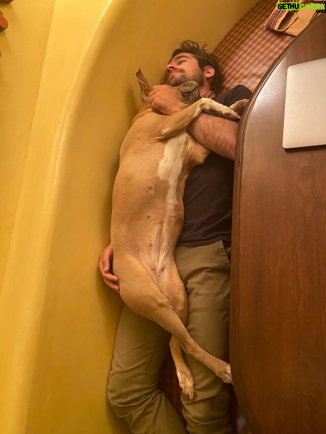 Rachel Brosnahan - 200.8K Likes - We said goodbye to our smiley, sweet Nikki on Sunday and our hearts hurt. She was special. She cuddled like a human and had eyes that made you feel like she’s surely been here before. She hated mornings and snow boots and being cold. She hated her little brother until one day she loved him a lot. She loved snacks, the beach and sitting on any piece of furniture she wasn’t allowed on. She sometimes faked injuries so we would pet her more. She had a long life and we loved her hard. We’ll miss her forever.