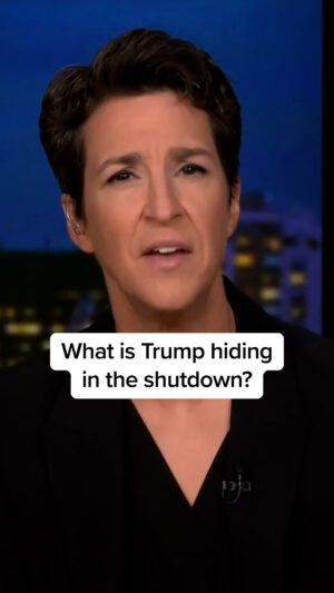 Rachel Maddow Instagram - It's apparent that the shutdown of the federal government does not bother Donald Trump, and as Rachel points out, in the case of keeping economic data opaque, it seems the shutdown is serving his purposes.