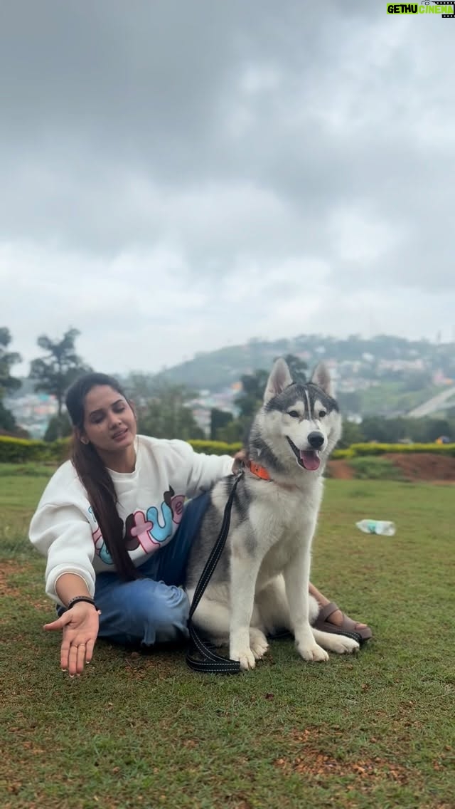 Sai Gayatri - 38.6K Likes - 😂❤️🧿 Recent days mind voice of all HUSKIES to their OWNERS b like 😛jus fr the trend😂😎 with the celebrity star and celebrated star on the reels 😂@husky_baby_bairav 🐶🧿❤️
.
#trendingsong #husky #dance #réel #huskydance
