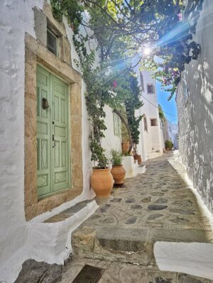 Serena Autieri Instagram - La luce della Grecia mi ha aperto gli occhi, penetrato nei pori, dilatato tutto l’essere 🐚
- Henry Miller