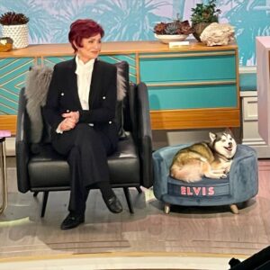 Sharon Osbourne Instagram - I can’t believe I am posting this but my darling Elvis passed away this week. He gave me 14 precious year. He was by my side until the end. Rest in peace my darling boy! 💔