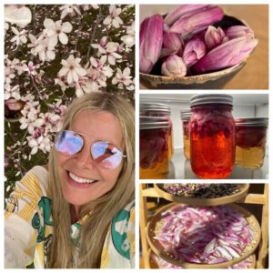 Sheri Moon Zombie Instagram - I just found out Magnolia tree flower petals are edible! I added it to salad raw and it tastes like a mild fresh ginger. Also tried pickling and drying (ground up dried magnolia can be used as a seasoning and in baking too). See the before & after of 48 hours on the drying racks. I'll actually boiled the canning jars and pickled them too. #magnoliapetals #springforaging #eatme