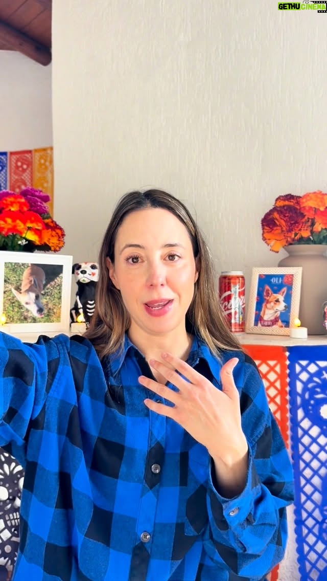 Sofía Niño de Rivera - 62.4K Likes - Gracias @cerveza.victoria por hacer un corto que me recuerde que mínimo Oli me estará esperando en el más allá.
La película se llama “A ti ¿quién te espera?”
#ATiQuiénTeEspera #PublicidadResponsable

Todo con medida 
253300201A1582
