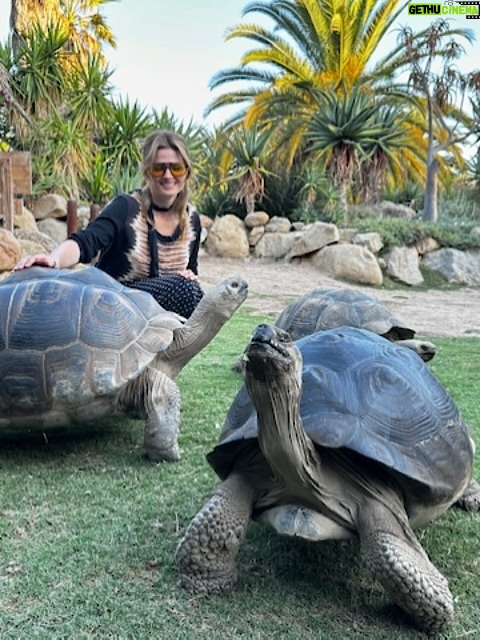 Stana Katic - 9.3K Likes - Got introduced to the 🐢Turtle Conservancy in Ojai through a friend who celebrated her birthday there. Had no idea this gem was so close. If you’re in the area, check it out! 🫶🏽 🐢 @turtleconservancy 

#Turtle #Tortoise #Sanctuary #Conservation #Animal