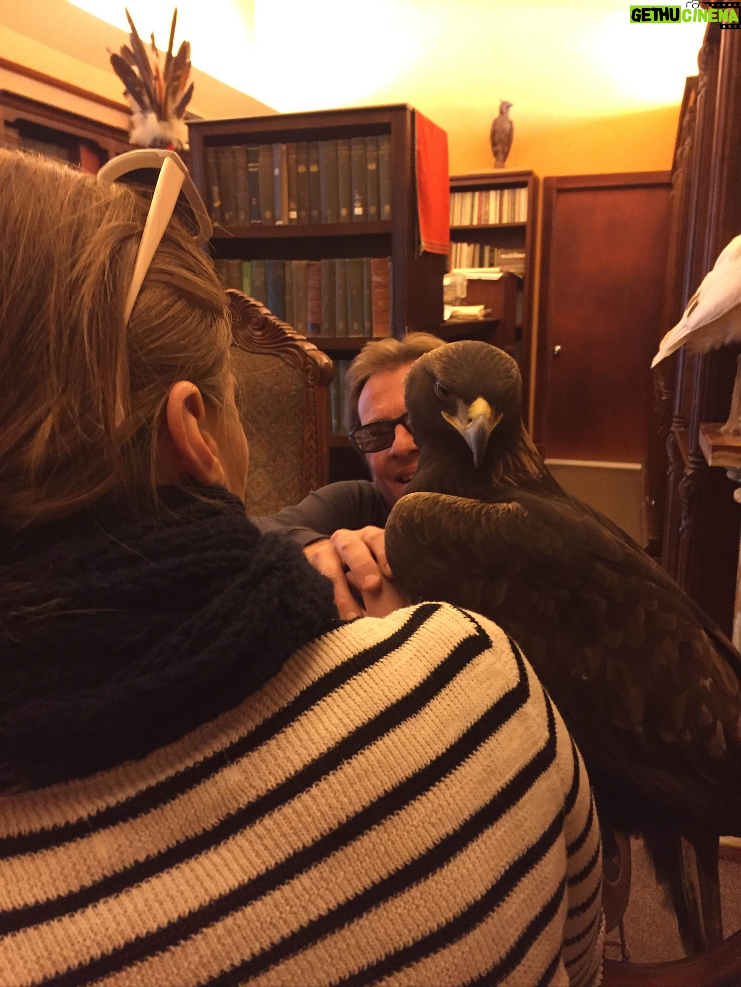 Stana Katic - 10.7K Likes - Dear community,

Calling on your support for my friends at SIA (Comanche Ethno-Ornithological Initiative) who have been working for years to rehabilitate vital populations of birds of prey around the world.

On October 11, they will release two captive-bred Bald Eagles back into the wild. They are the only group authorized to do so in the US.

They are raising $20,000 to fund the technology and its parallel specialists to ensure the release is done safely and is successful in the longterm.

If you are able, please donate at comancheeagle.com or mail a cheque to:
SIA
106 Lookingglass Way
Cyril, OK 73029

After their release, there will be a public website where you will be able to connect to the eagles’ movements and share in their progress in near real-time. 

The positive outcome of this project will have generational ecological and cultural value. 

🦅🪶🙏🏽

In gratitude,
Stana