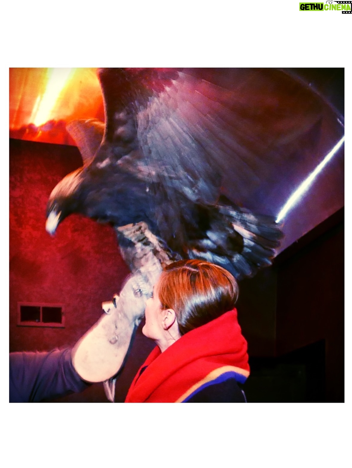 Stana Katic - 10.7K Likes - Dear community,

Calling on your support for my friends at SIA (Comanche Ethno-Ornithological Initiative) who have been working for years to rehabilitate vital populations of birds of prey around the world.

On October 11, they will release two captive-bred Bald Eagles back into the wild. They are the only group authorized to do so in the US.

They are raising $20,000 to fund the technology and its parallel specialists to ensure the release is done safely and is successful in the longterm.

If you are able, please donate at comancheeagle.com or mail a cheque to:
SIA
106 Lookingglass Way
Cyril, OK 73029

After their release, there will be a public website where you will be able to connect to the eagles’ movements and share in their progress in near real-time. 

The positive outcome of this project will have generational ecological and cultural value. 

🦅🪶🙏🏽

In gratitude,
Stana