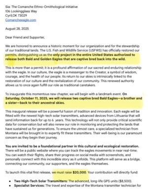 Stana Katic Instagram - Dear community,

Calling on your support for my friends at SIA (Comanche Ethno-Ornithological Initiative) who have been working for years to rehabilitate vital populations of birds of prey around the world.

On October 11, they will release two captive-bred Bald Eagles back into the wild. They are the only group authorized to do so in the US.

They are raising $20,000 to fund the technology and its parallel specialists to ensure the release is done safely and is successful in the longterm.

If you are able, please donate at comancheeagle.com or mail a cheque to:
SIA
106 Lookingglass Way
Cyril, OK 73029

After their release, there will be a public website where you will be able to connect to the eagles’ movements and share in their progress in near real-time. 

The positive outcome of this project will have generational ecological and cultural value. 

🦅🪶🙏🏽

In gratitude,
Stana