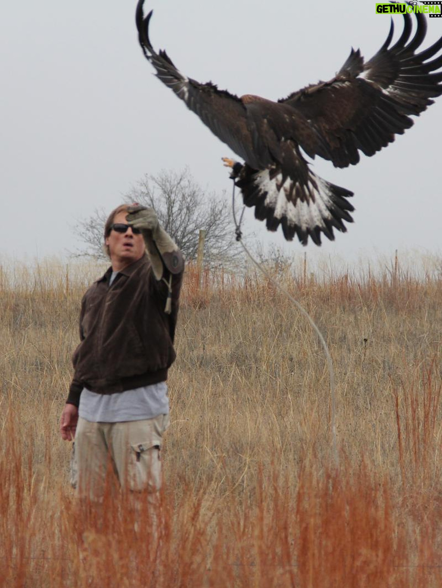Stana Katic - 10.7K Likes - Dear community,

Calling on your support for my friends at SIA (Comanche Ethno-Ornithological Initiative) who have been working for years to rehabilitate vital populations of birds of prey around the world.

On October 11, they will release two captive-bred Bald Eagles back into the wild. They are the only group authorized to do so in the US.

They are raising $20,000 to fund the technology and its parallel specialists to ensure the release is done safely and is successful in the longterm.

If you are able, please donate at comancheeagle.com or mail a cheque to:
SIA
106 Lookingglass Way
Cyril, OK 73029

After their release, there will be a public website where you will be able to connect to the eagles’ movements and share in their progress in near real-time. 

The positive outcome of this project will have generational ecological and cultural value. 

🦅🪶🙏🏽

In gratitude,
Stana
