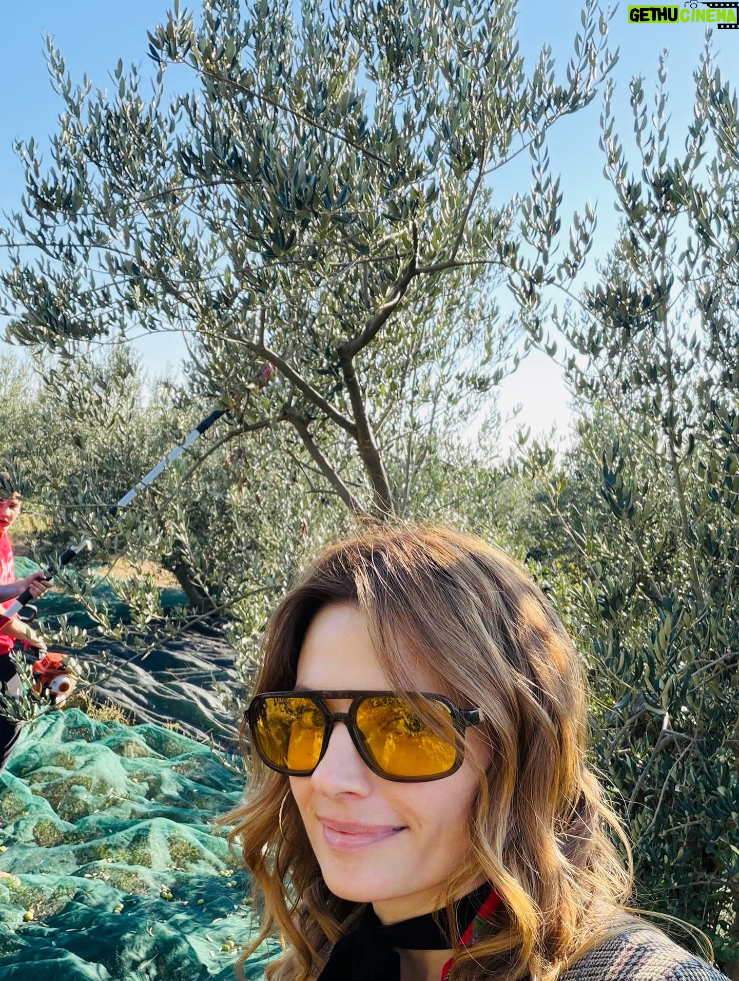 Stana Katic - 21.1K Likes - There are some who are pick-pocketers.🫱🏽👖
And others, picky eaters. 🤢🤮
There are the rare few who are knowing 👃🏽nose-pickers.
And, lest we forget, the ubiquitous pickleballers.
I, however, my friends, am a bonafide Olive 🫒Picker!!
And can proudly proclaim such thanks to a generous group of students and diligent teachers who let my dilettantish dreams soar from 🌳tree to fruited tree in that plump and juicy grove!

Merci, mes frères! 

#Olive #OliveOil #OliveGrove #Medicine #FreshSqueezed