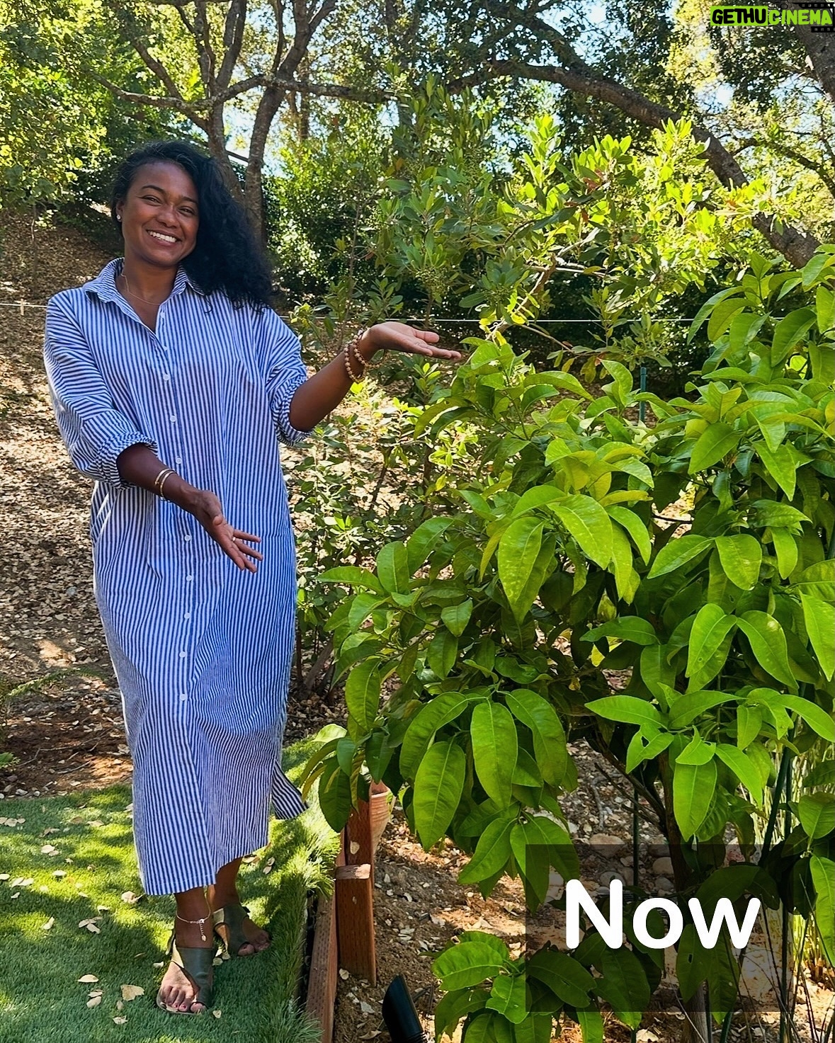 Tatyana Ali - 8.1K Likes - Look at our wedding tree now! 🌿

Whatever you plant and nurture will grow — it just takes time, care, and patience ❤️