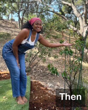 Tatyana Ali Instagram - Look at our wedding tree now! 🌿
Whatever you plant and nurture will grow — it just takes time, care, and patience ❤️