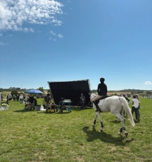 Alisha Newton Instagram - did u watch heartland last night? 🤎