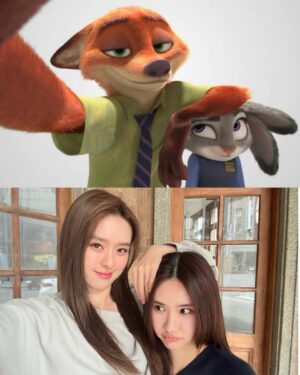 Ally Chiu Instagram - 還沒看動物方程式2的話
可以先看我們🦊🐰～❤️