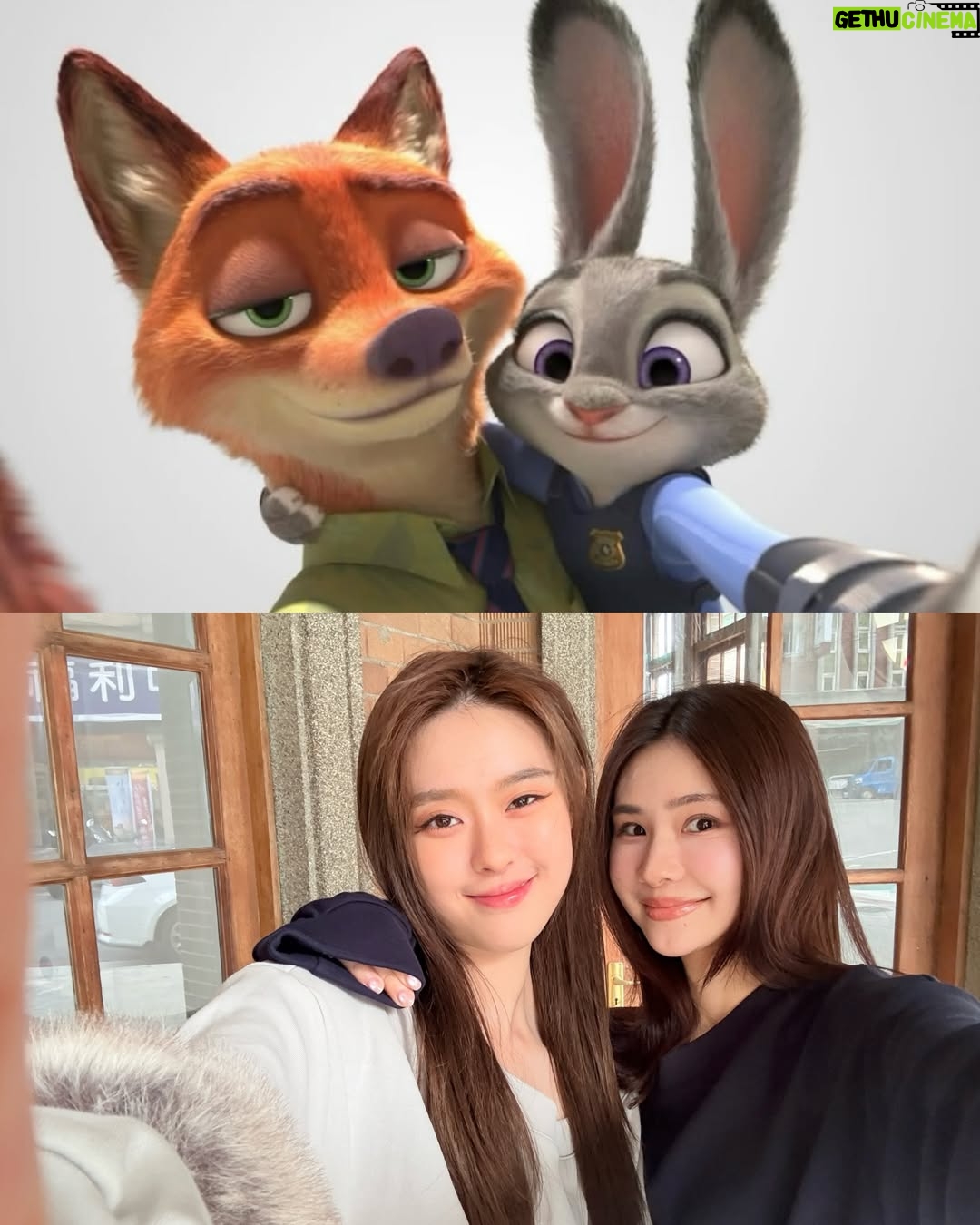 Ally Chiu - 167K Likes - 還沒看動物方程式2的話
可以先看我們🦊🐰～❤️