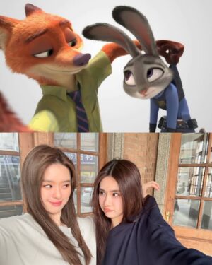 Ally Chiu Instagram - 還沒看動物方程式2的話
可以先看我們🦊🐰～❤️