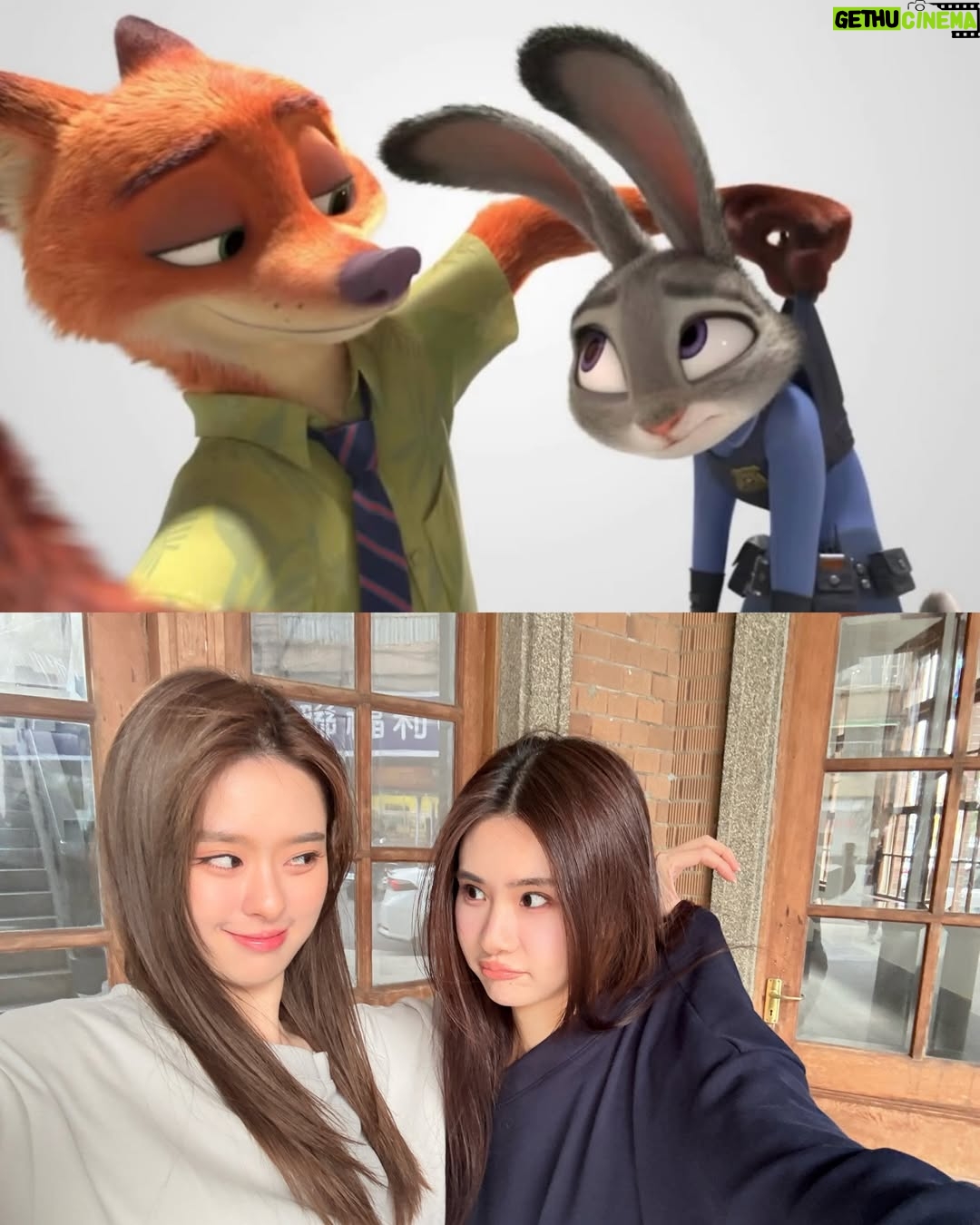 Ally Chiu - 167K Likes - 還沒看動物方程式2的話
可以先看我們🦊🐰～❤️