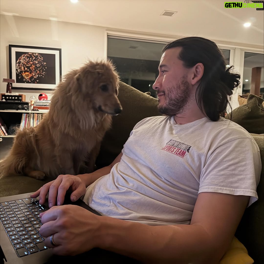 Amy Nelson - 779.8K Likes - We had to let Henry go yesterday morning. I’m so sorry to tell everyone. I know many of you loved seeing him despite how camera shy he was. He was so similar to me. My shadow. Please bear with me while I clumsily try to honor him.

I have to tell you that Mark and Chica and I lay here a day later feeling like we sawed our own arm off. I’m sorry if we are a mess for a while.

It was a miracle he made it to the wedding, still his old self. I can’t believe we had that. Over a year of good days after a cancer diagnosis that we all thought was ready to take him out the day we discovered it.

Even yesterday morning, exhausted as he was - Henry jumped in and out of the car, head out the window and tugged towards his favorite trail at his favorite park. And then he came home and we helped him rest. He simply ran out of good days.

From the worst motion sickness I’ve ever seen to teaching himself to stick his head out the window. He’d meep and meep and meep. The perfect road trip partner. He got to see Thailand to LA, even the Atlantic. Snow and desert and beaches and forests and creeks. How many dogs could say the same?

I keep thinking back to all those film shoots in Austin, where he suddenly discovered how to run. And god it was the most shamelessly dorky run - the kind of enthusiasm reserved for passions discovered in the second chapter of life - lived as if you’re making up for lost time.

And most importantly of all, he was little brother to his big sister. They loved each other so much. Chica was the only dog Henry ever truly figured out how to play with. He eventually grew brave enough to wrestle in front of our friends. She taught him how to be a dog. He gave her purpose.

Last night Mark said he was plucked from the cosmos just for us. And he certainly was, but he had some human help along the way. Thank you to Tamara at @thaistreetpaws_dogrescue for saving his life.

It was an honor to take him into our home, but it ultimately became his home more than any of ours. He was my Henry copilot, our watchful eyes, and he was perfect.