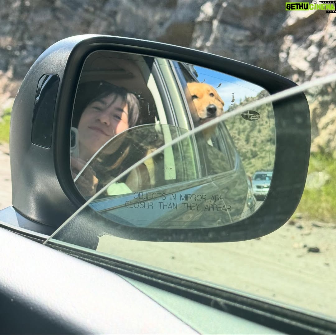 Amy Nelson - 779.8K Likes - We had to let Henry go yesterday morning. I’m so sorry to tell everyone. I know many of you loved seeing him despite how camera shy he was. He was so similar to me. My shadow. Please bear with me while I clumsily try to honor him.

I have to tell you that Mark and Chica and I lay here a day later feeling like we sawed our own arm off. I’m sorry if we are a mess for a while.

It was a miracle he made it to the wedding, still his old self. I can’t believe we had that. Over a year of good days after a cancer diagnosis that we all thought was ready to take him out the day we discovered it.

Even yesterday morning, exhausted as he was - Henry jumped in and out of the car, head out the window and tugged towards his favorite trail at his favorite park. And then he came home and we helped him rest. He simply ran out of good days.

From the worst motion sickness I’ve ever seen to teaching himself to stick his head out the window. He’d meep and meep and meep. The perfect road trip partner. He got to see Thailand to LA, even the Atlantic. Snow and desert and beaches and forests and creeks. How many dogs could say the same?

I keep thinking back to all those film shoots in Austin, where he suddenly discovered how to run. And god it was the most shamelessly dorky run - the kind of enthusiasm reserved for passions discovered in the second chapter of life - lived as if you’re making up for lost time.

And most importantly of all, he was little brother to his big sister. They loved each other so much. Chica was the only dog Henry ever truly figured out how to play with. He eventually grew brave enough to wrestle in front of our friends. She taught him how to be a dog. He gave her purpose.

Last night Mark said he was plucked from the cosmos just for us. And he certainly was, but he had some human help along the way. Thank you to Tamara at @thaistreetpaws_dogrescue for saving his life.

It was an honor to take him into our home, but it ultimately became his home more than any of ours. He was my Henry copilot, our watchful eyes, and he was perfect.