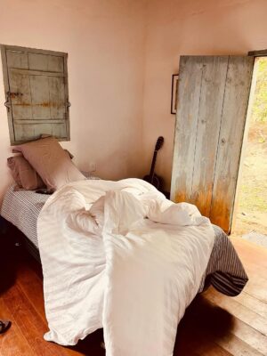 Ana Flavia Cavalcanti Instagram - Bocaina de minas e dos prazeres. 
Água doce, fim de tarde, caminhadas, dançar na sala, mergulhar e ficar odara. 

Até breve chão vermelho, foram dias muito gostosos. 

🦋🦋🦋