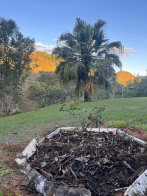 Ana Flavia Cavalcanti Instagram - Bocaina de minas e dos prazeres. 
Água doce, fim de tarde, caminhadas, dançar na sala, mergulhar e ficar odara. 

Até breve chão vermelho, foram dias muito gostosos. 

🦋🦋🦋