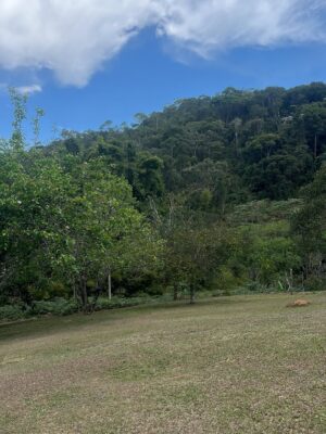 Ana Flavia Cavalcanti Instagram - Bocaina de minas e dos prazeres. 
Água doce, fim de tarde, caminhadas, dançar na sala, mergulhar e ficar odara. 

Até breve chão vermelho, foram dias muito gostosos. 

🦋🦋🦋